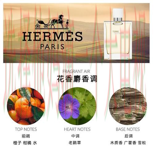 亚盈体育登录入口官网注册教程 亚盈体育登录入口官网注册教程